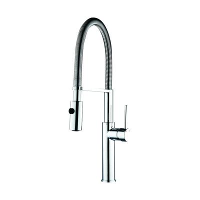 Flexible pull out kitchen mixer with sprayer